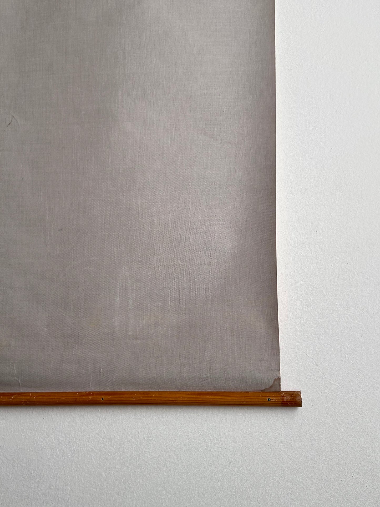 1960s Deutsches Hygiene-Museum Dresden chart of Anatomy