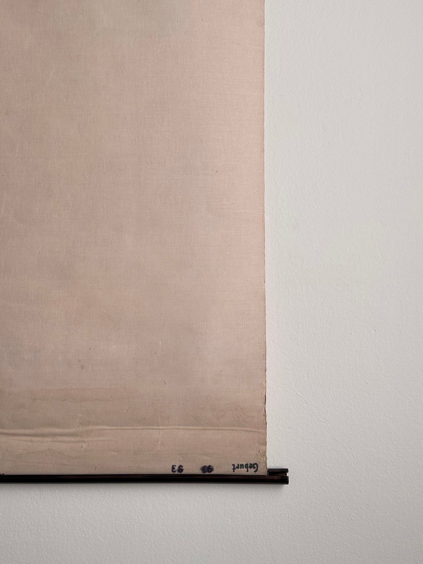 1960s Deutsches Hygiene-Museum Dresden chart of Anatomy