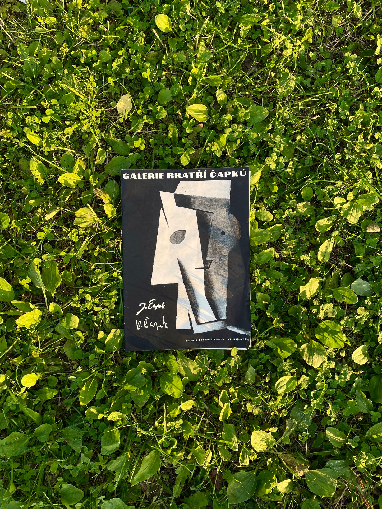 bratří Čapků 1965