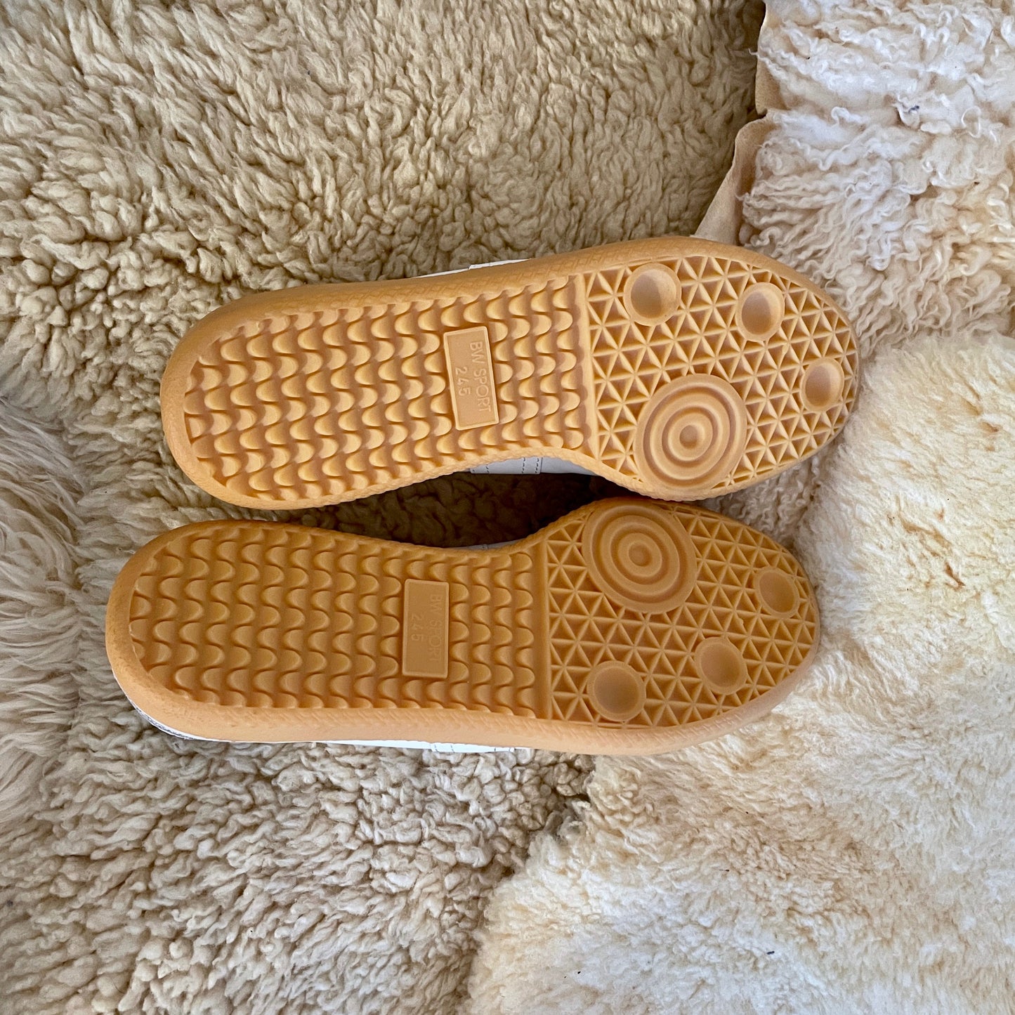 ジャーマントレーナー