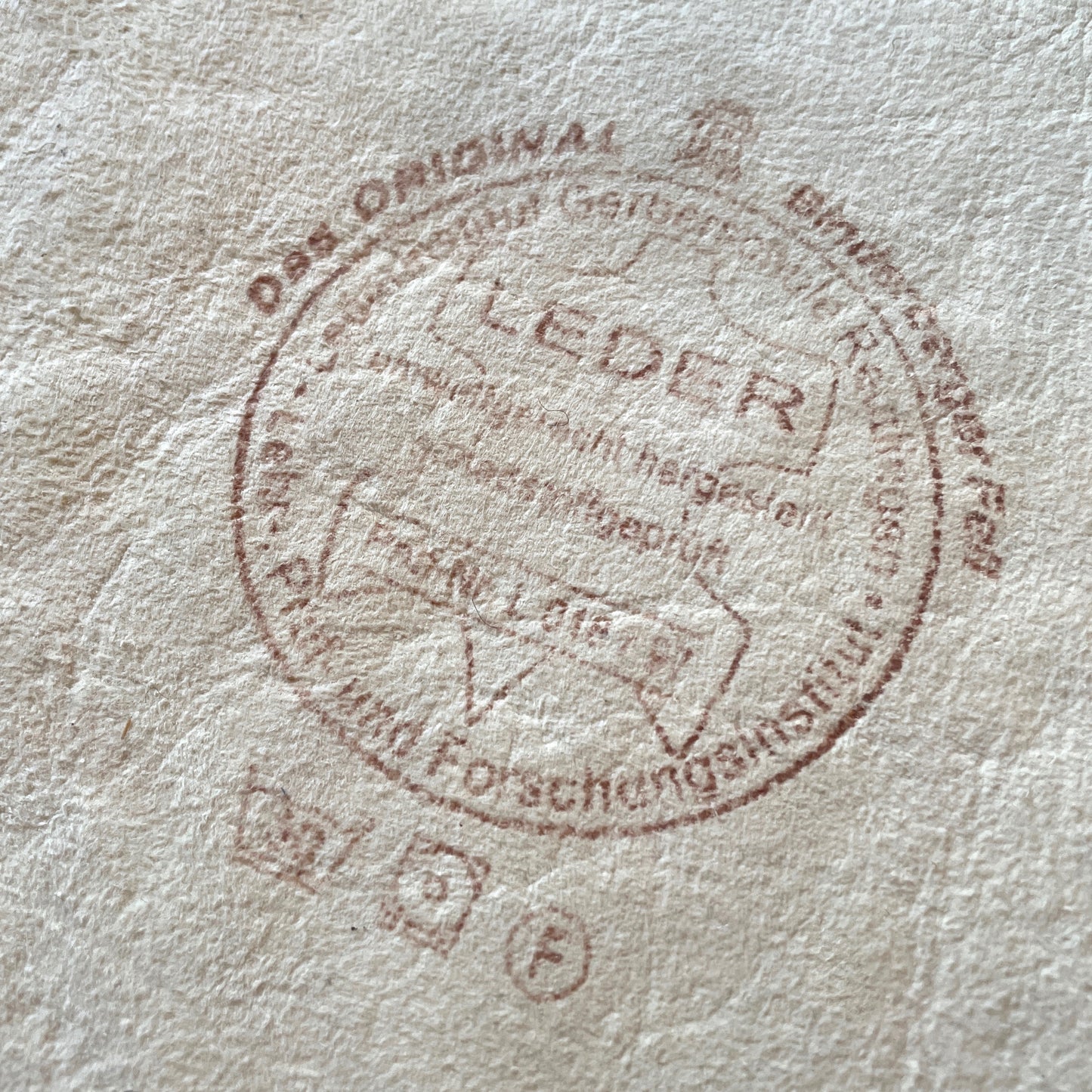 Baby mouton rug, Germany