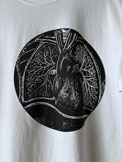 Fontanelle 1993 - L