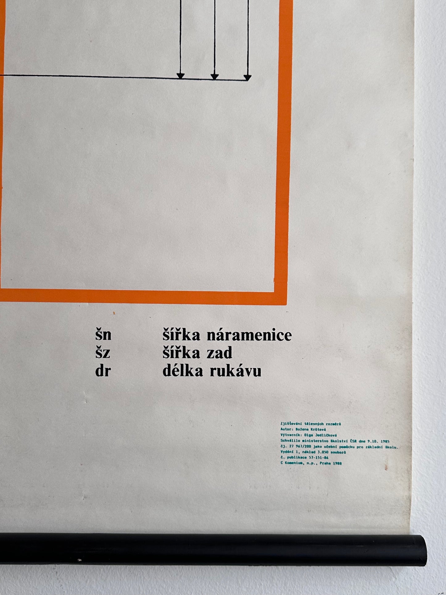1988 Czechoslovak body measurement school chart
