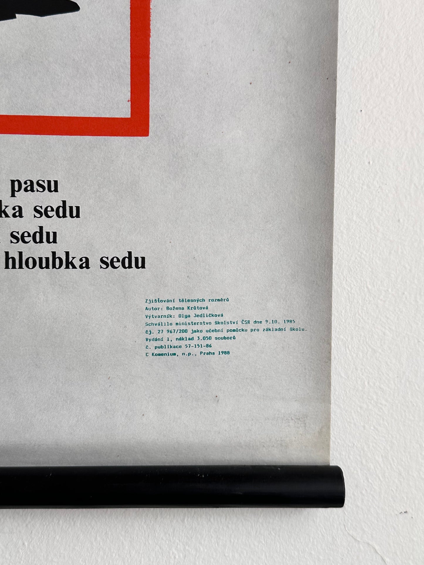 1988 Czechoslovak body measurement school chart