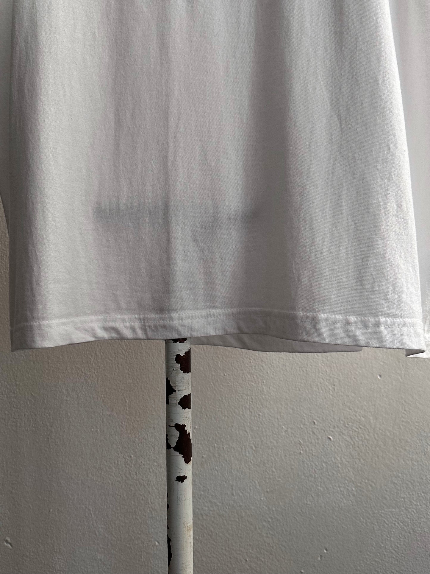 2004 European Parliament Elections - XL