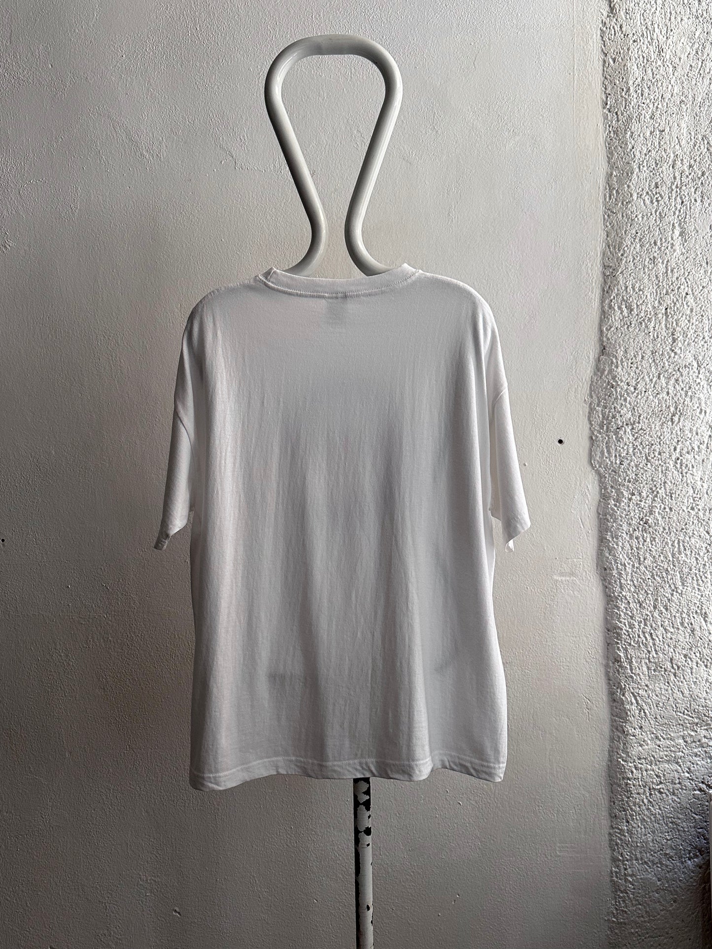 2004 European Parliament Elections - XL