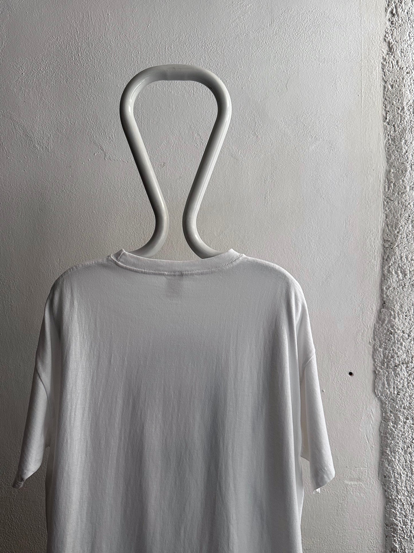 2004 European Parliament Elections - XL