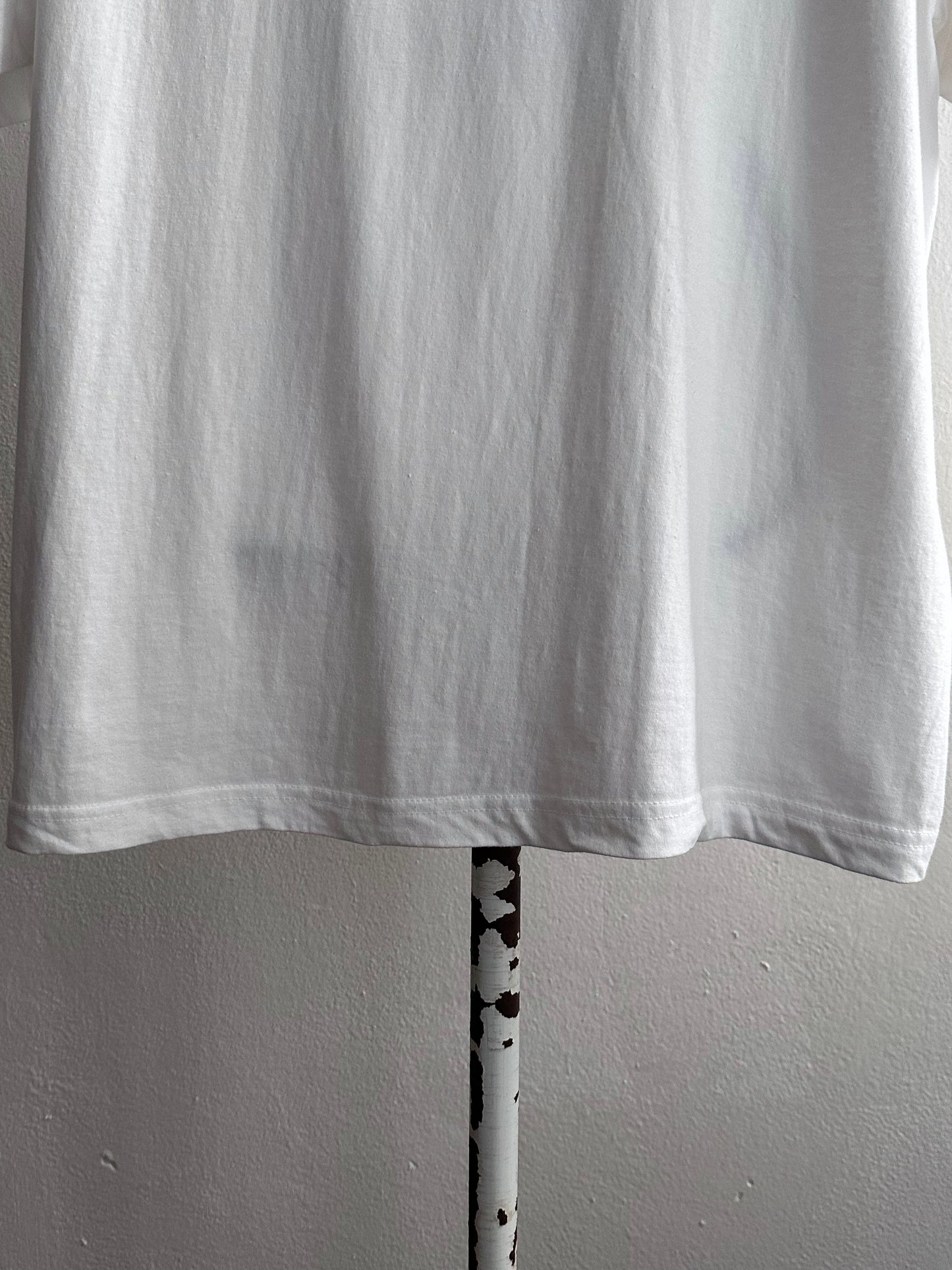 2004 European Parliament Elections - XL