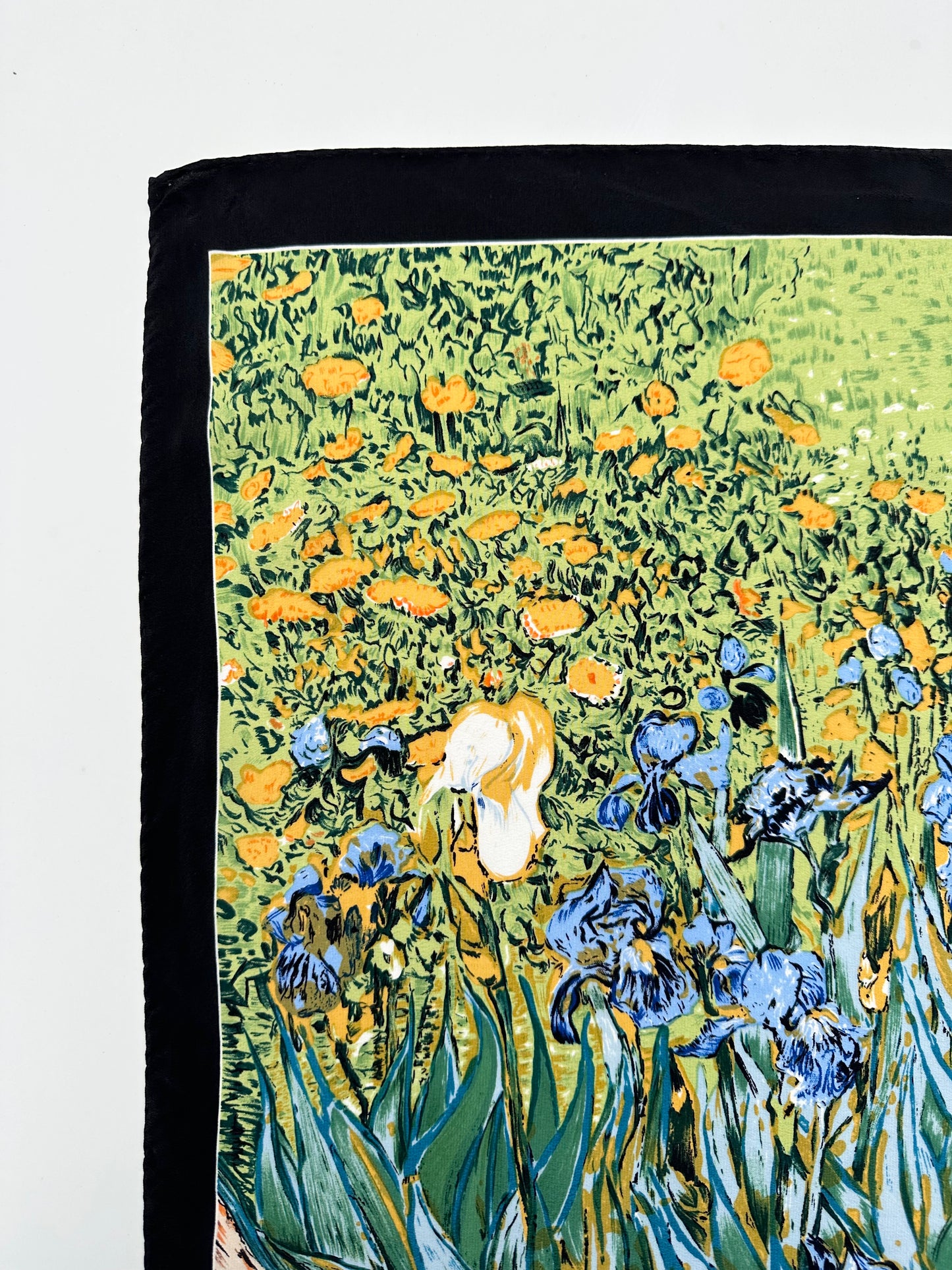 vincent van gogh - Irises