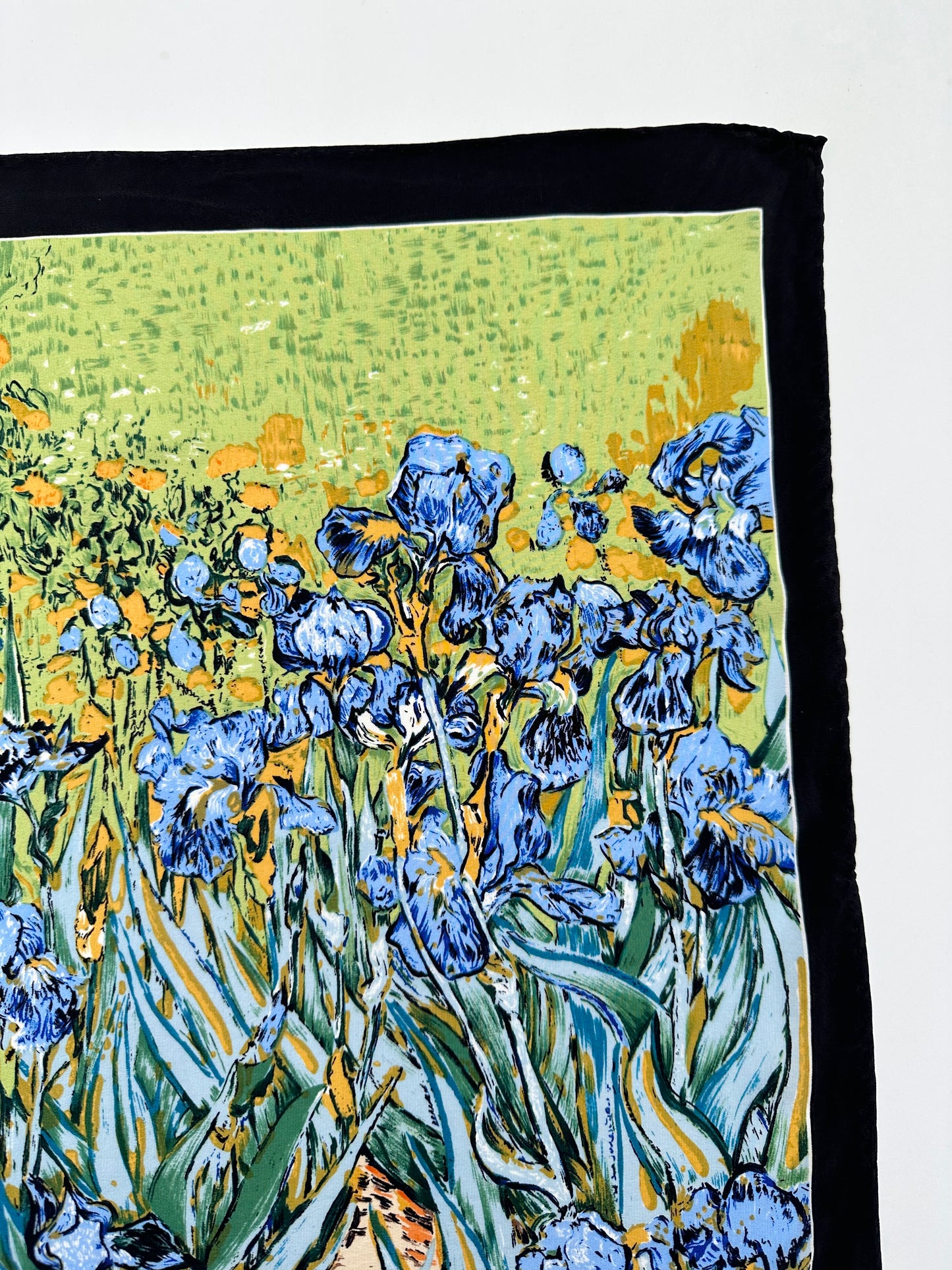 vincent van gogh - Irises