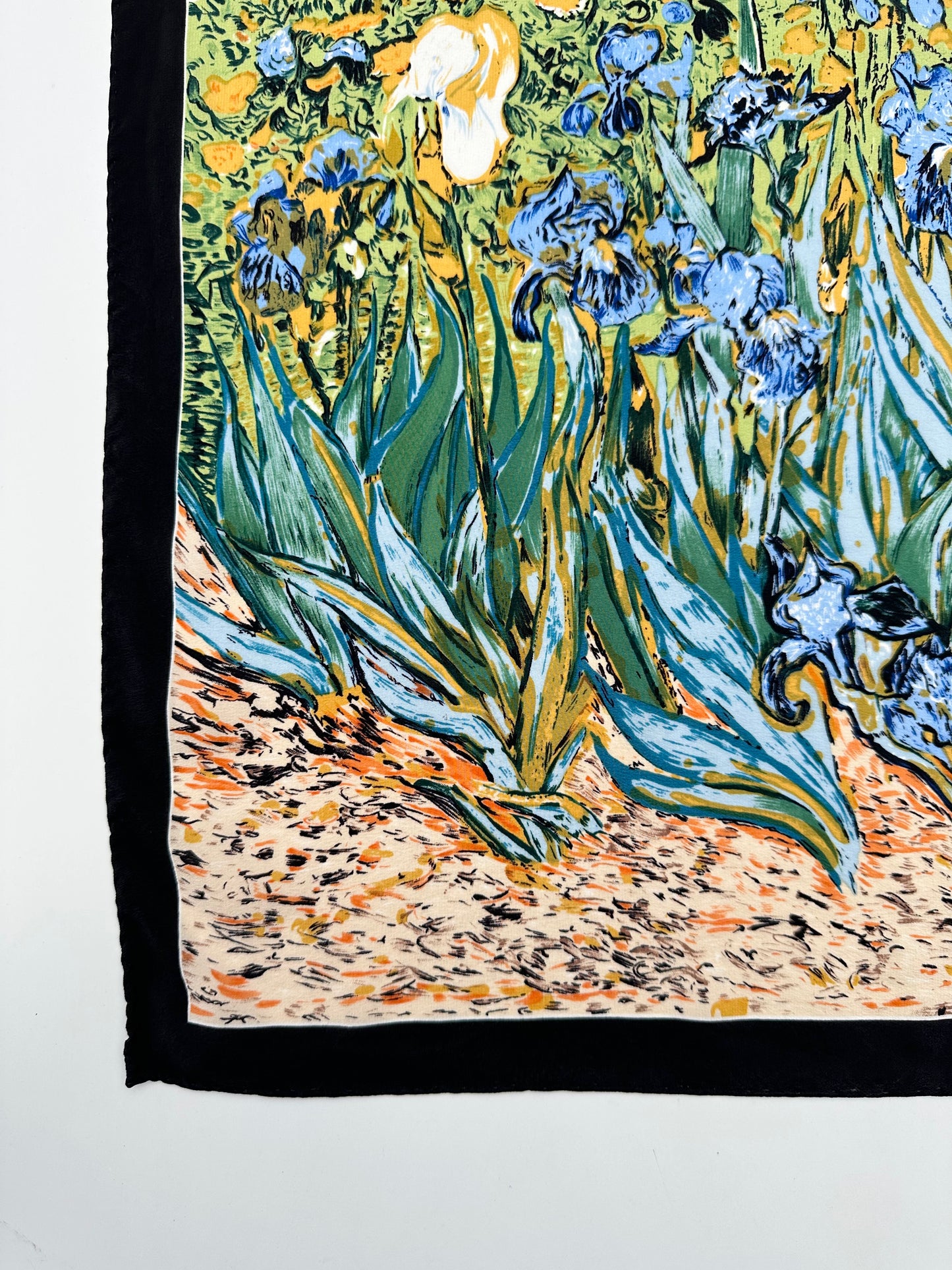 vincent van gogh - Irises