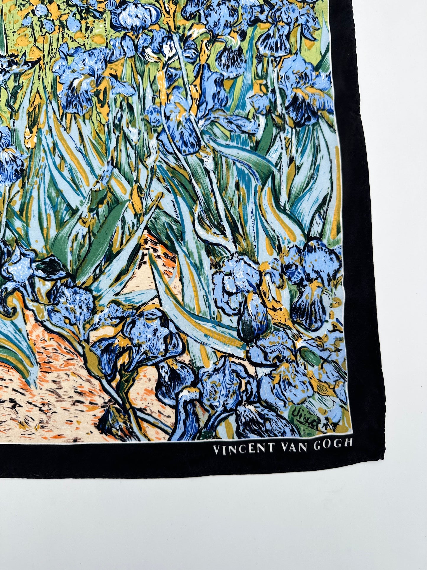 vincent van gogh - Irises