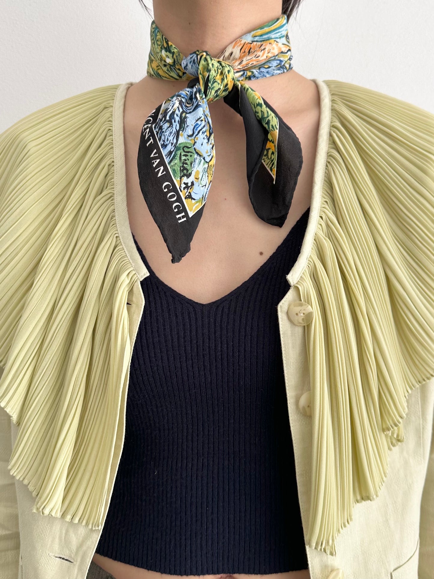 vincent van gogh - Irises