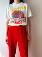 1996 Jurassic Park The Ride 90's T-shirt Tee Vintage ヴィンテージ Tシャツ 90年代 ジュラシックパーク USJ ユニバ ユニバーサルスタジオ TOTO 古着 古着屋 プラハ Praha Prague Vintage store