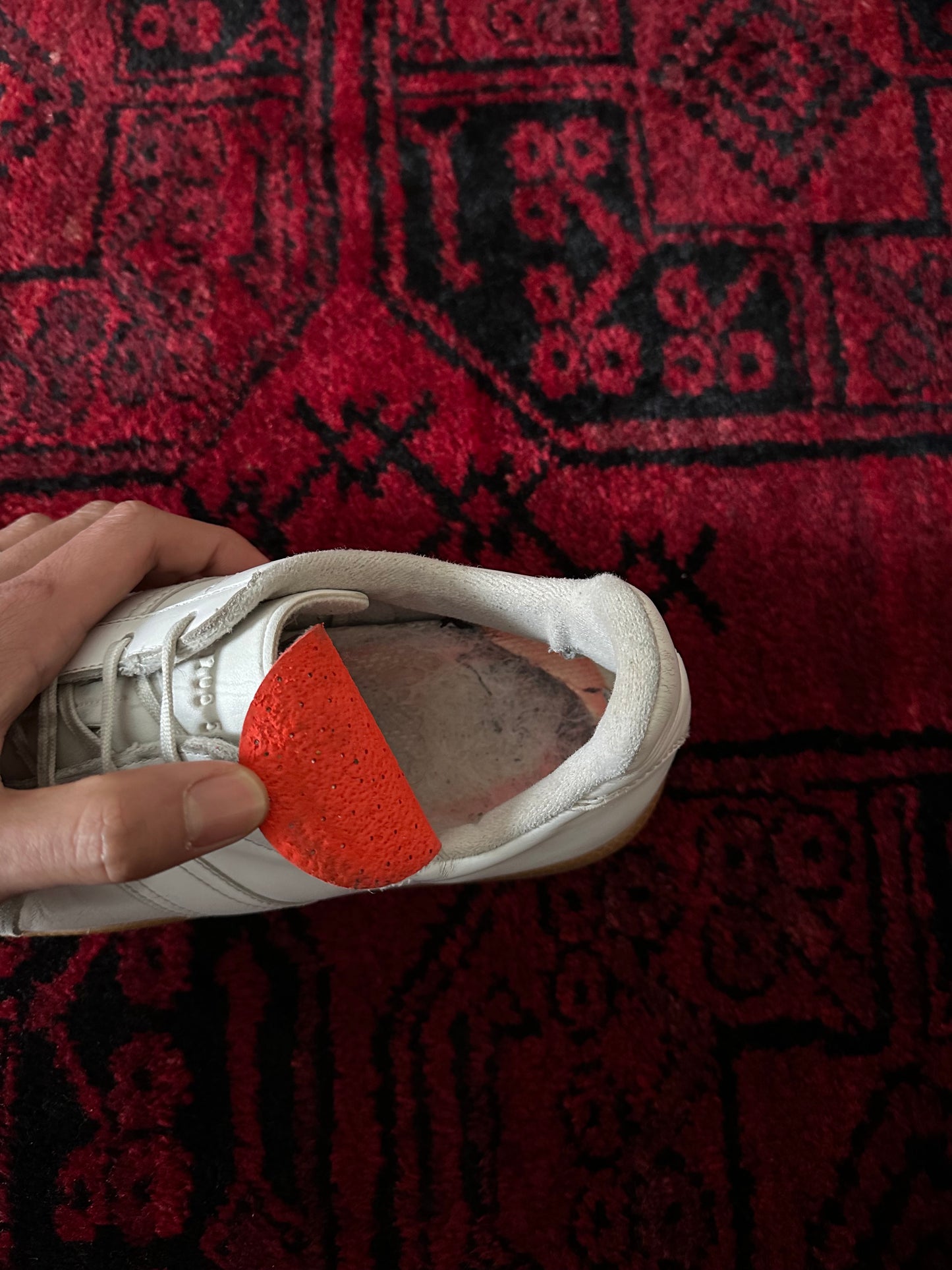 Our eternal friend , German trainer.27.5cm