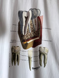 90's 90年代 Anatomical T-shirt tee Vintage T-shirt ヴィンテージ Tシャツ Praha Prague Vintage store プラハ  古着屋