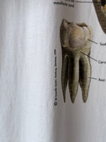 90's 90年代 Anatomical T-shirt tee Vintage T-shirt ヴィンテージ Tシャツ Praha Prague Vintage store プラハ  古着屋