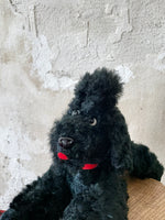 Vintage black dog