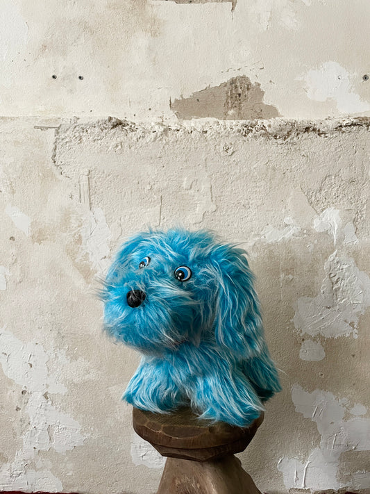 Vintage shaggy dog