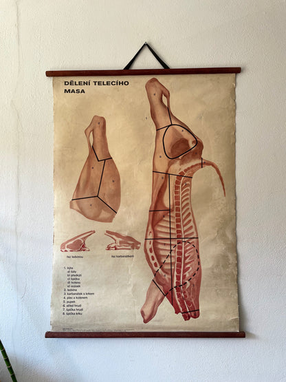 1960s Wall art of meet parts. (Veal)