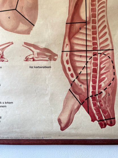 1960s Wall art of meet parts. (Veal)