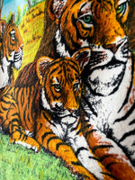 tigers in savanna