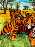 tigers in savanna